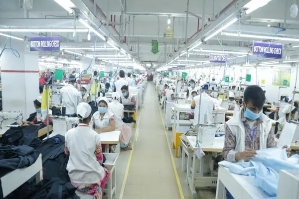 Sewing lines